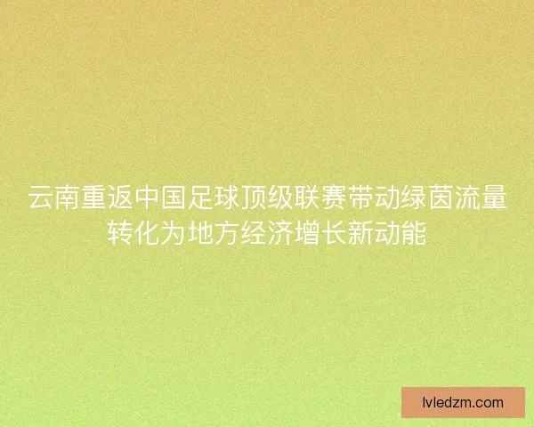 云南重返中国足球顶级联赛带动绿茵流量转化为地方经济增长新动能