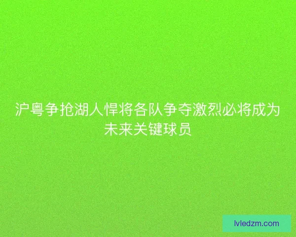 沪粤争抢湖人悍将各队争夺激烈必将成为未来关键球员