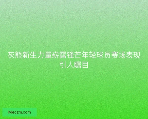 灰熊新生力量崭露锋芒年轻球员赛场表现引人瞩目